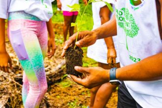 Racismo Ambiental: A Trilha que o Brasil Insiste em Não Ver